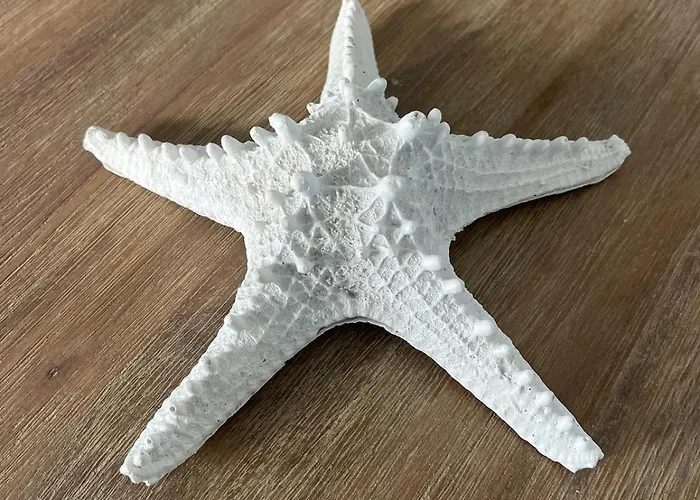 Les Pierres Salees, Family 度假居