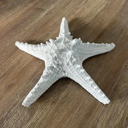 Les Pierres Salees, Family Prázdninový dům