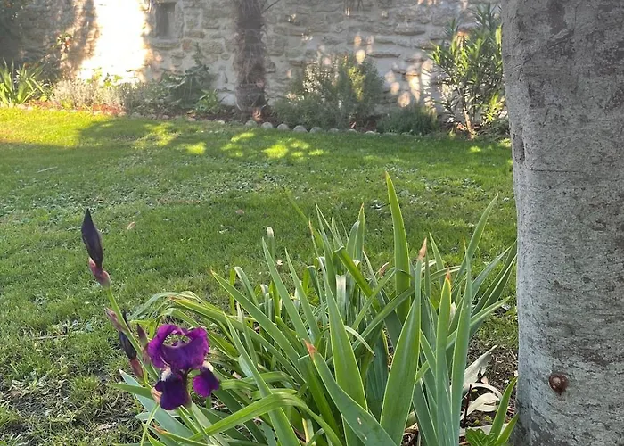 Casa vacanze Les Pierres Salées, Family Le Château-dʼOléron